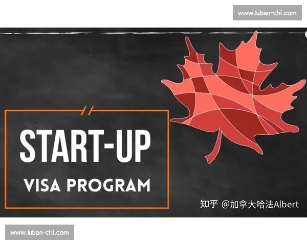 奥运会金牌背后的奋斗与荣耀故事全景解析