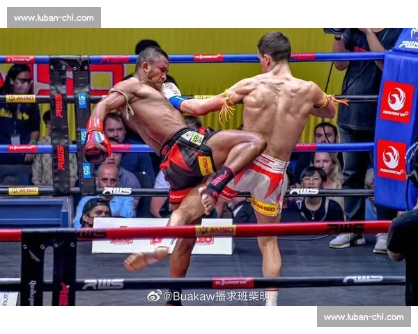 泰拳王播求再战擂台精彩对决震撼全场引发热议
